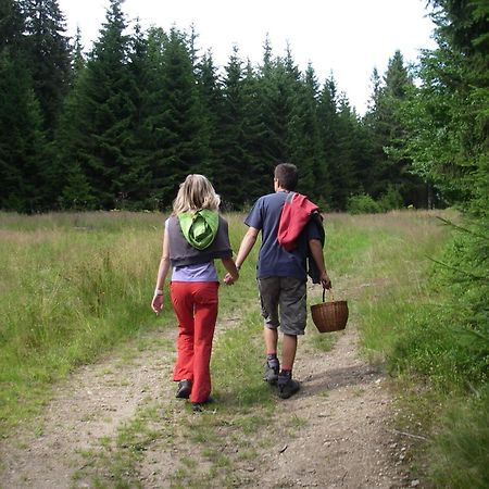 Penzion U Studeneho Potoka Nove Hutě Bagian luar foto