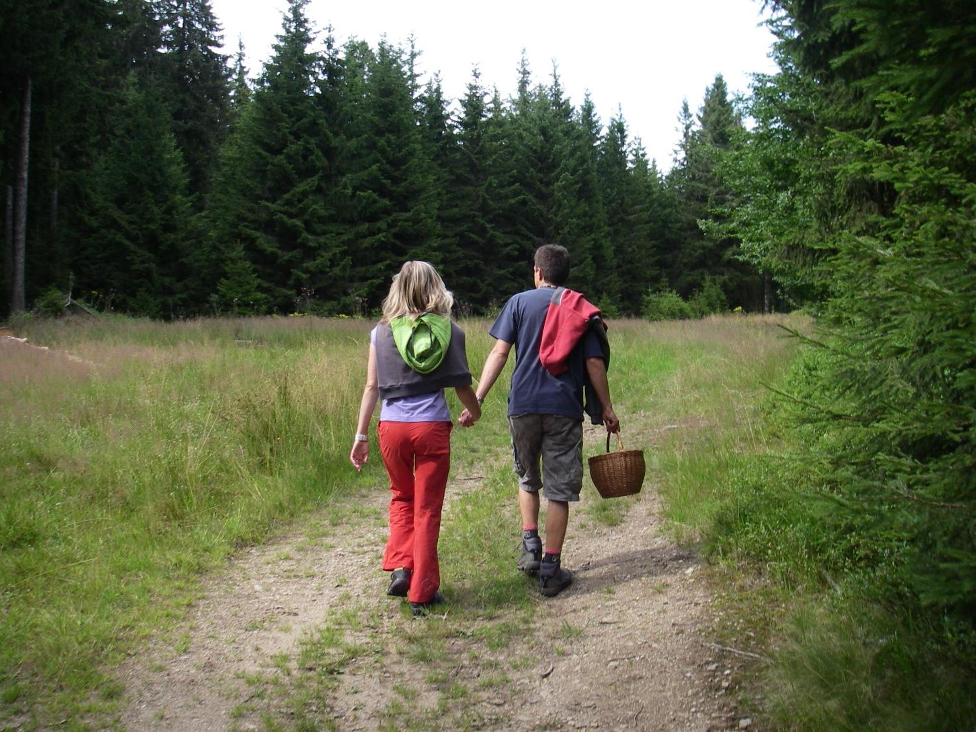 Penzion U Studeneho Potoka Nove Hutě Bagian luar foto