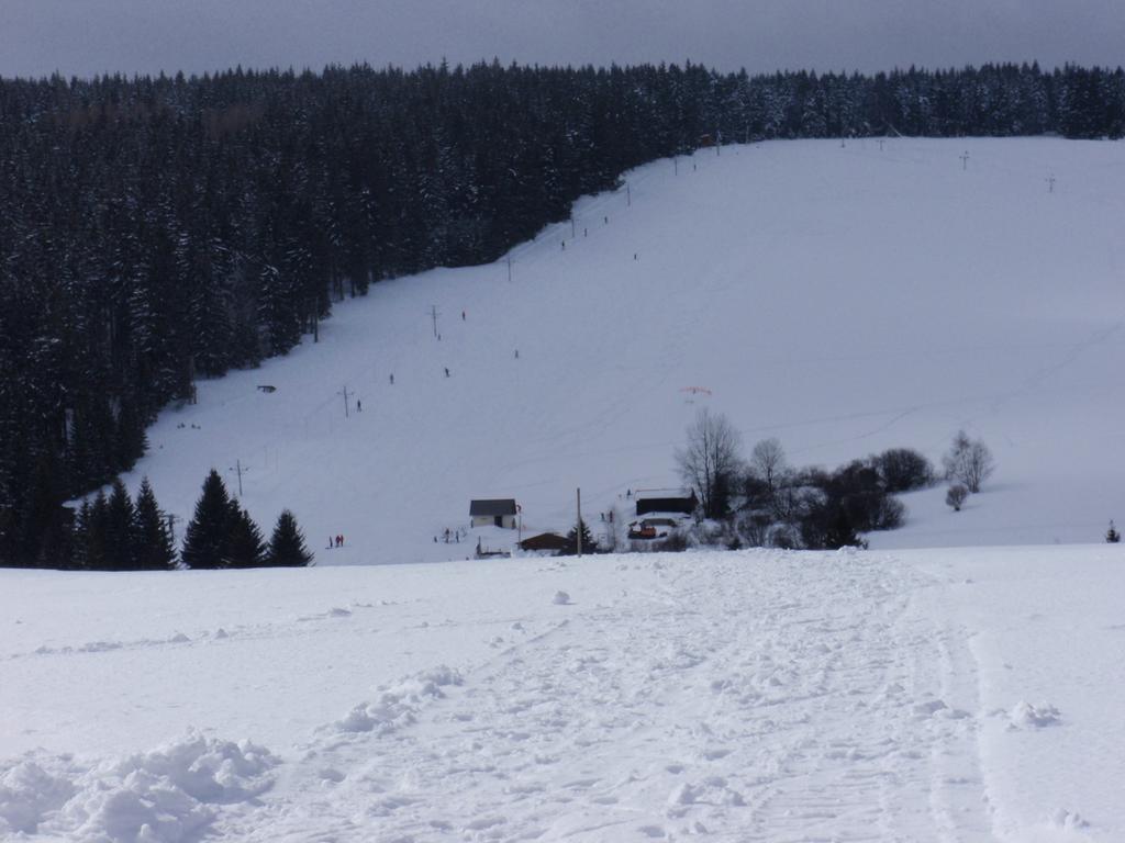 Penzion U Studeneho Potoka Nove Hutě Bagian luar foto