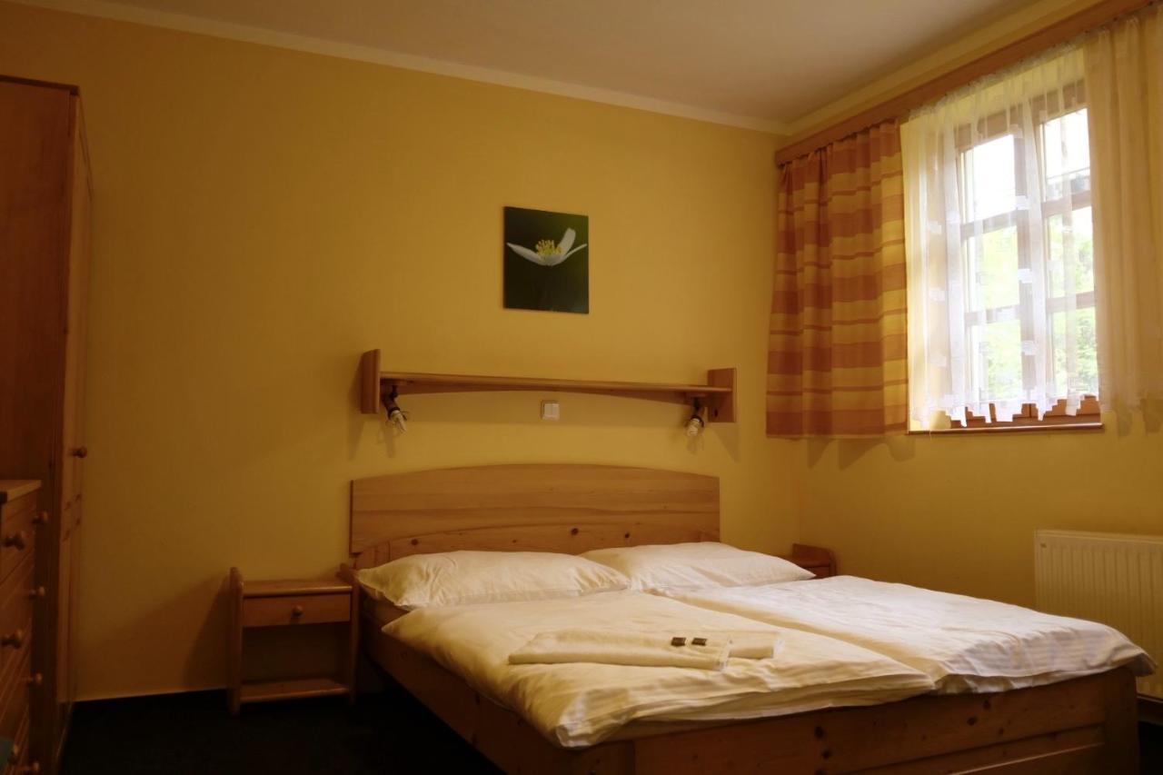 Penzion U Studeneho Potoka Nove Hutě Bagian luar foto